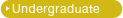 Undergraduate
