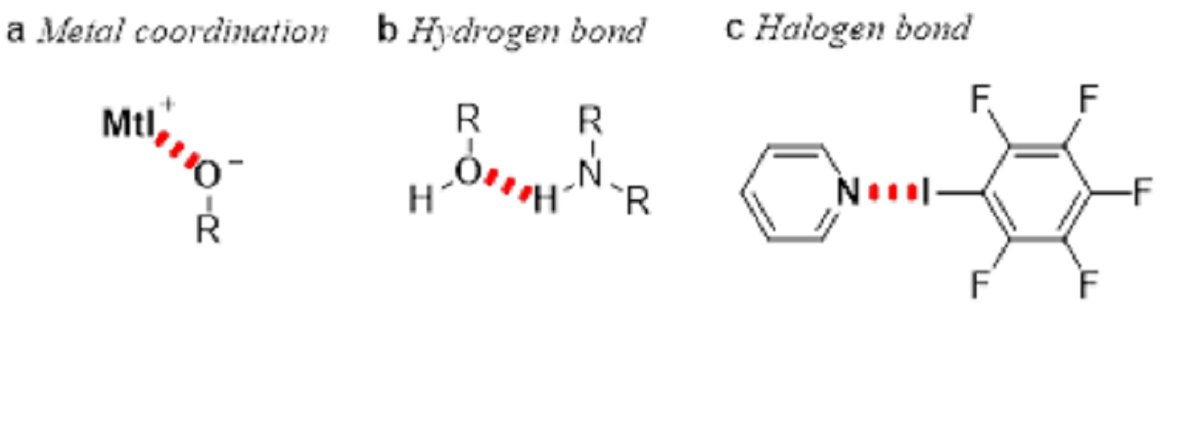 ion bonding technique